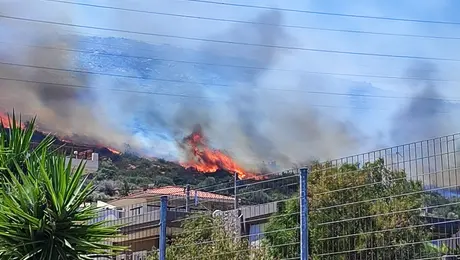 fotia - neos koybaras