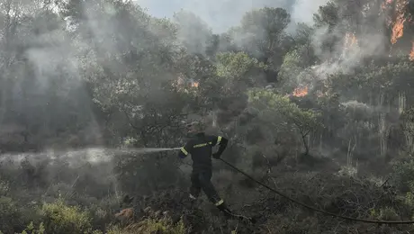 fotia - pyrosbestiki