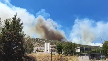 fotia ston neo koybara