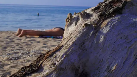 Καύσωνας Ιουλίου 2023