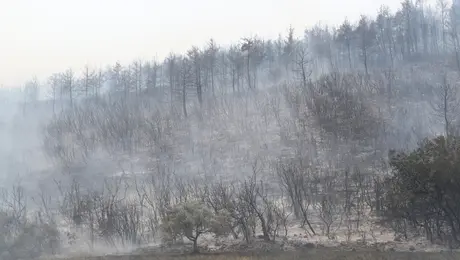 alexandroupoli-pyrkagia