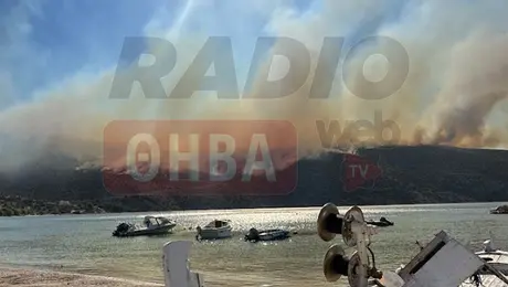 Φωτιά στη Βοιωτία