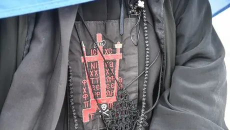 diamartyria gia taytotites