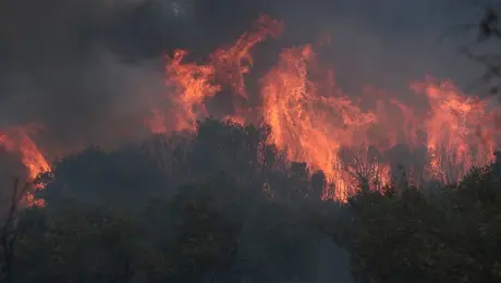 fotia alexandroupoli