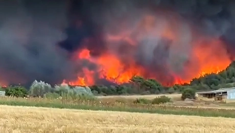 fotia alexandroupoli