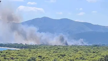 fotia ston marathona