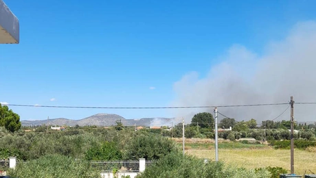 fotia ston marathona