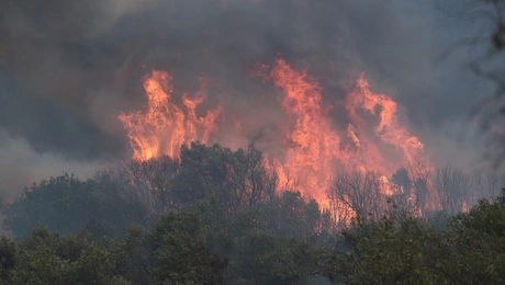 fotia-alexandroupoli