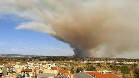 fotia-alexandroypoli