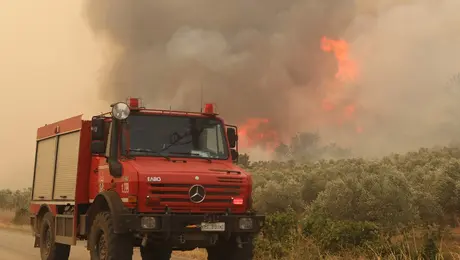 fotia-alexandroypoli