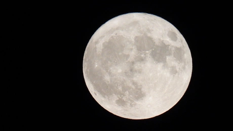 panselinos-augoustos