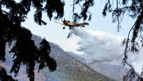 pyrosbestiki-aeroplano