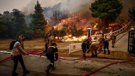 pyrosbestiki-pyrosvestiki