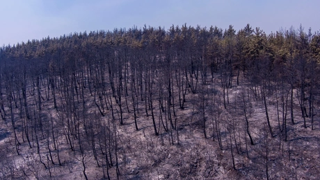 fotia-alexandroupoli