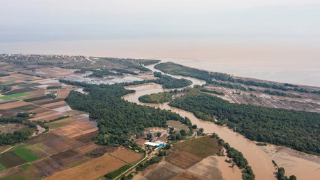 kakokairia - plimmires