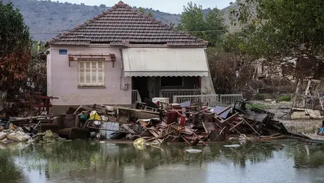 kakokairia elias 445