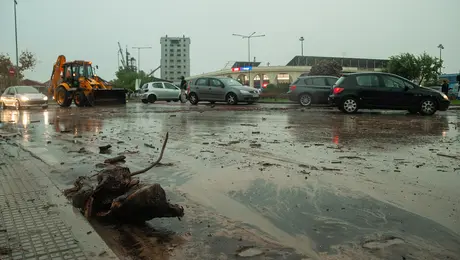 kakokairia-daniel-bolos