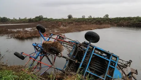 kakokairia-elias-plimmires