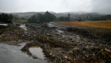 kakokairia-fthiotida