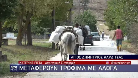 kakokairia-karditsa-aloga