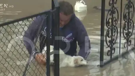 kakokairia-larisa-skylos