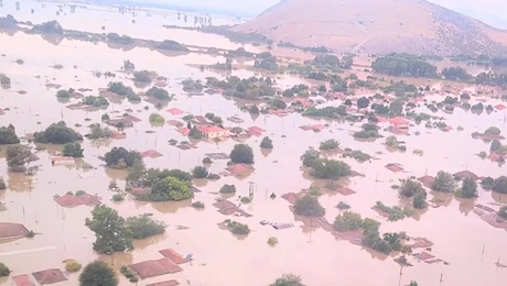 metamorfosi karditsas