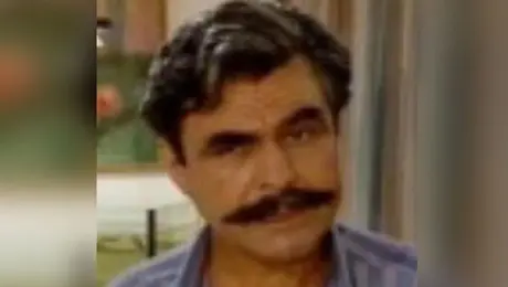 Ο ηθοποιός, Πάνος Μποτίνης