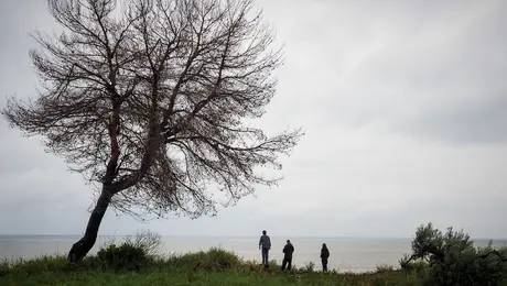 Έρευνες για το ελικόπτερο που έπεσε στην Εύβοια