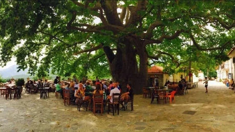 Το χωριό Άρνα στον Ταΰγετο
