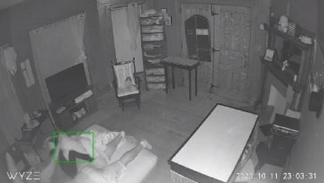 Βίντεο της οικογένειας Μολίνα