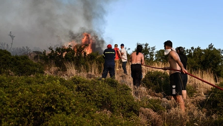 Φωτιά στη Φθιώτιδα