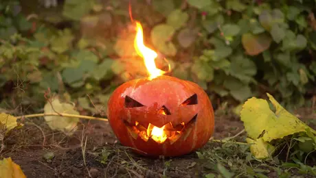 Κολοκύθα του halloween