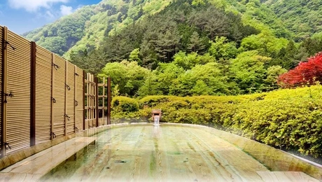 Nishiyama Onsen Keiunkan