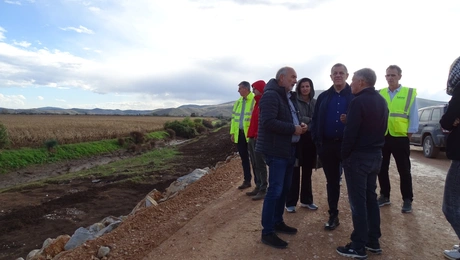 Νίκος Ταχιάος