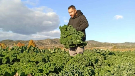 Τηλέμαχος Βακουφάρης
