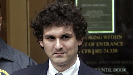 Σαμ Μπάνκμαν - Φριντ