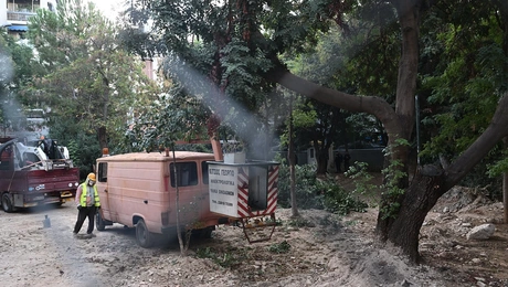 Οι εργασίες για την απομάκρυνση των δέντρων