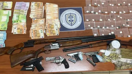 Εξάρθρωση δύο εγκληματικών οργανώσεων από την ΕΛΑΣ