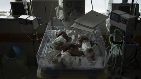 Τα βρέφη πριν από τη μεταφορά τους