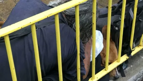 Ο Χρήστος στο Ηράκλειο σκεπάζει σκύλο