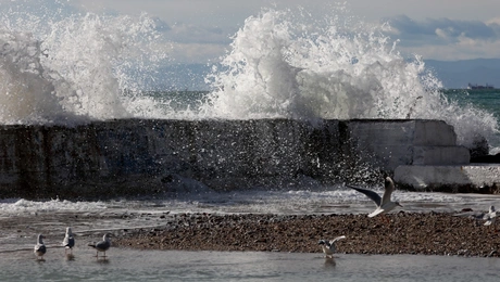 Κύμα στη θάλασσα