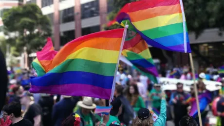 Σημαίες της ΛΟΑΤΚΙ+ κοινότητας