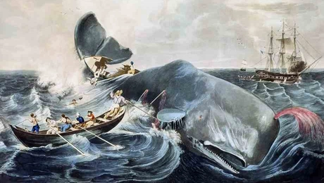 moby_dick