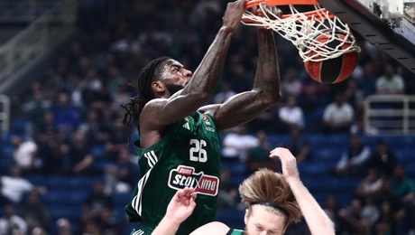 panathinaikos basket