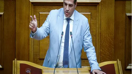 Θάνος Πλεύρης