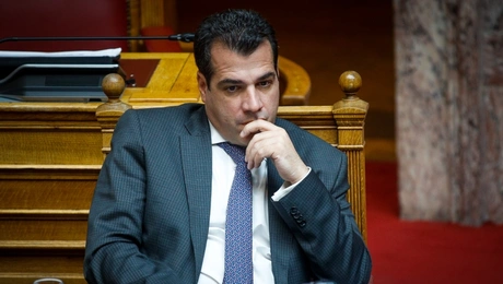 Θάνος Πλεύρης