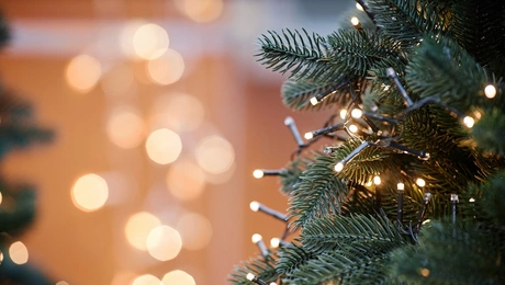 Χριστουγεννιάτικα λαμπιόνια