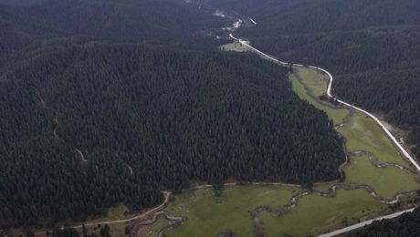 Το δάσος του Κοζίακα στα Τρίκαλα