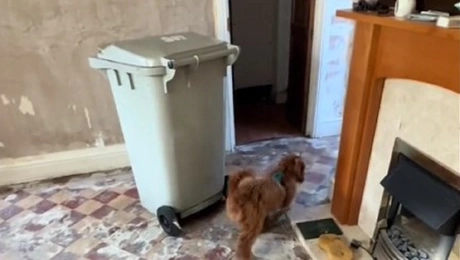 Η απαράδεκτη κατάσταση του σπιτιού