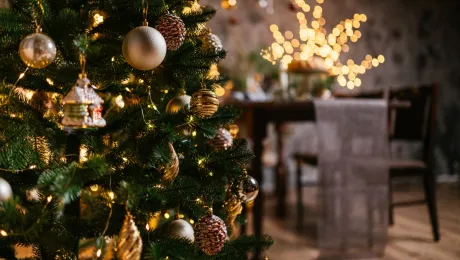 Χριστουγεννιάτικο δέντρο σε σπίτι